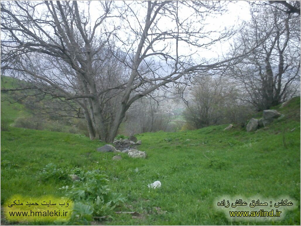 Photo : Sadeq Alesh Zadeh