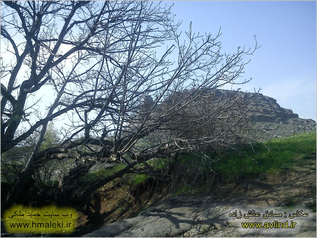 Photo : Sadeq Alesh Zadeh