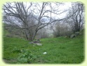 Photo: Sadeq Alesh Zadeh 0914-151-37-93