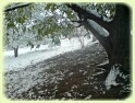 Photo: Sadeq Alesh Zadeh 0914-151-37-93