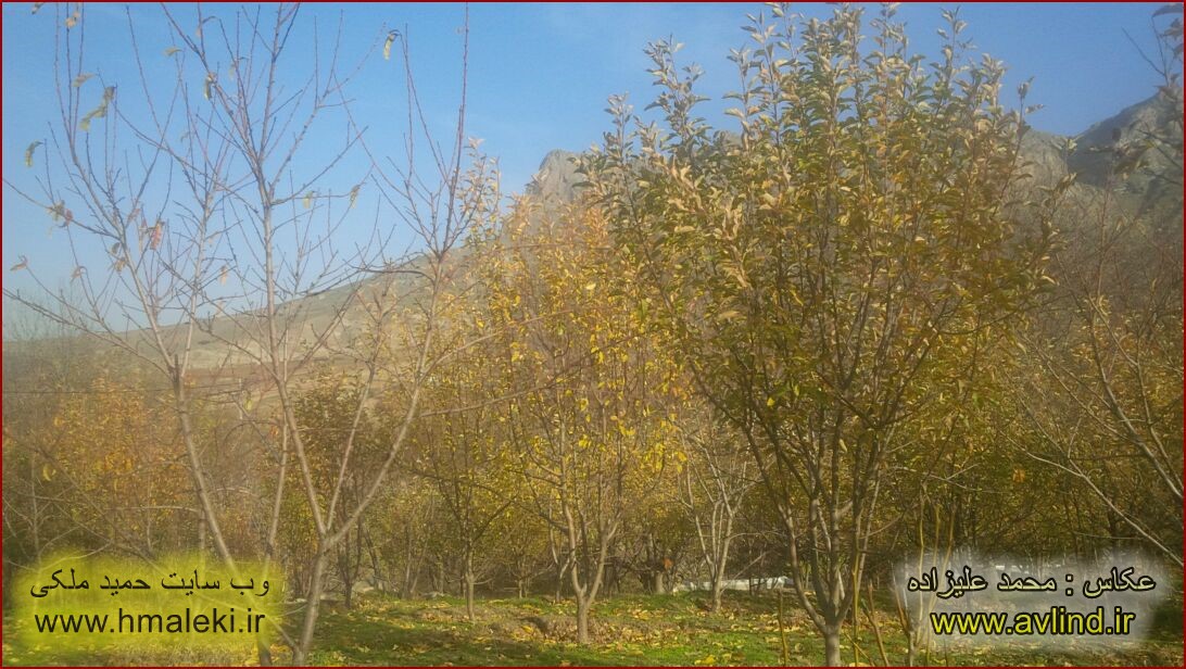 Photo by Mohammad Alizadeh