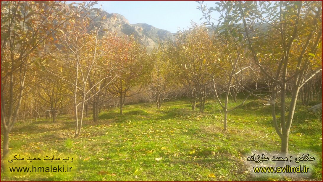 Photo by Mohammad Alizadeh