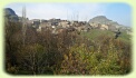 Photo by Mohammad Alizadeh