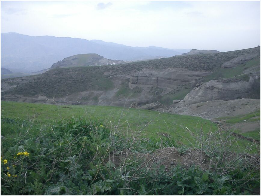 DSC00096